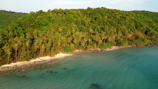 Vista Aérea Serena Una Playa Tropical Vacía Con Cocoteros Amanecer — Vídeos de Stock