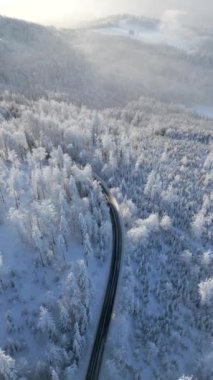 Kış harikalar diyarında karlı bir dağ ormanında manzaralı bir yol..