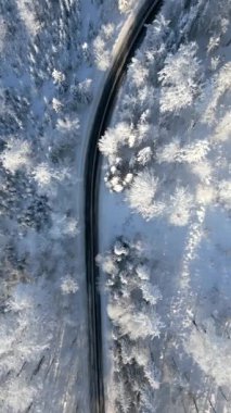 Karlı bir dağ ormanında manzaralı bir yolun manzarası..