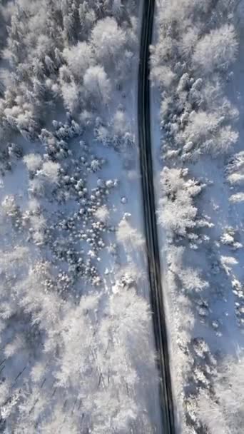 Landschapsweg Besneeuwde Winterbergen Bovenaanzicht — Stockvideo
