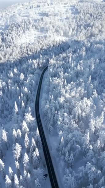 Letecký Pohled Auto Projíždějící Zasněženým Horským Lesem Zimě — Stock video