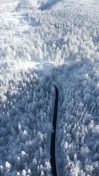 Kışın Karlı Dağ Ormanlarında Uçan Bir Arabanın Görüntüsü — Stok video
