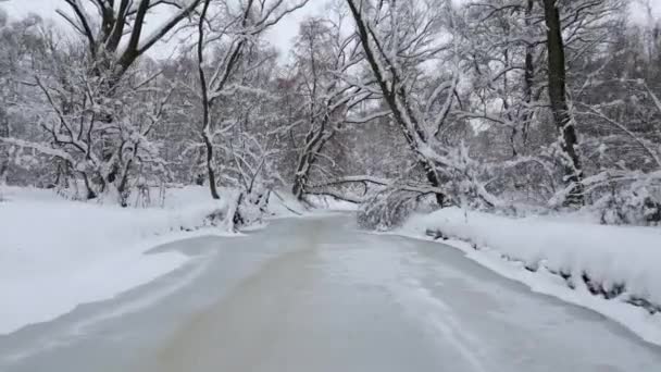 Volando Sobre Helado Río Congelado Frío Bosque Invierno — Vídeo de stock