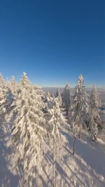 Fpv Drone Volo Cinematografico Sulla Foresta Montagna Innevata Una Giornata — Video Stock