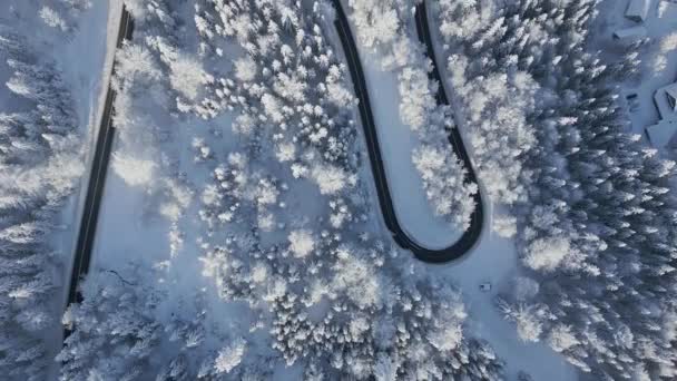 Kış Harikalar Diyarında Karlı Bir Dağ Ormanında Manzaralı Bir Yılan — Stok video