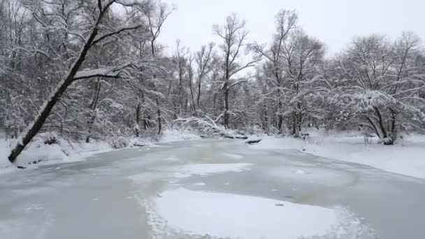 Політ Над Крижаною Замерзлою Річкою Холодному Зимовому Лісі — стокове відео