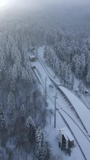 Polonya Nın Dağ Ormanlarındaki Karlı Kayak Tepelerinin Hava Manzarası — Stok video