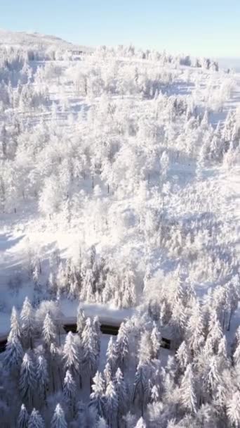 Vista Aérea Bela Paisagem Montanha Inverno Dia Ensolarado — Vídeo de Stock