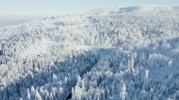 Widok Lotu Ptaka Malowniczej Drogi Przez Śnieżną Zimową Krainę Czarów — Wideo stockowe