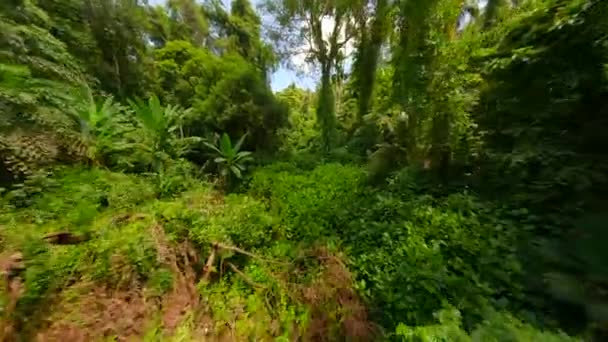 Smooth Fpv Flight Lush Tropical Rainforest Thailand — Stock Video