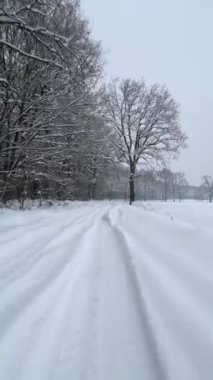 Soğuk bir kışta karlı kır yolunda yumuşak bir uçuş.