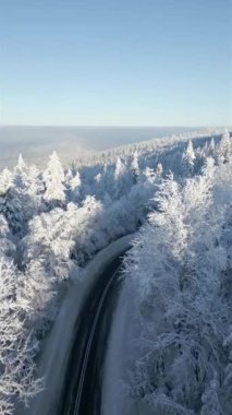 Kışın karlı bir dağ ormanında manzaralı bir yolda giden bir arabanın hava görüntüsü..