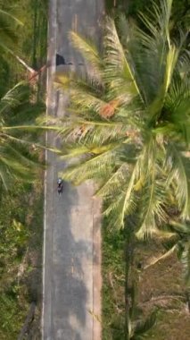 Tayland 'da tropikal bir adada hindistan cevizi palmiyeleriyle kaplı manzaralı bir yolda scooter süren bir kadının görüntüsü..