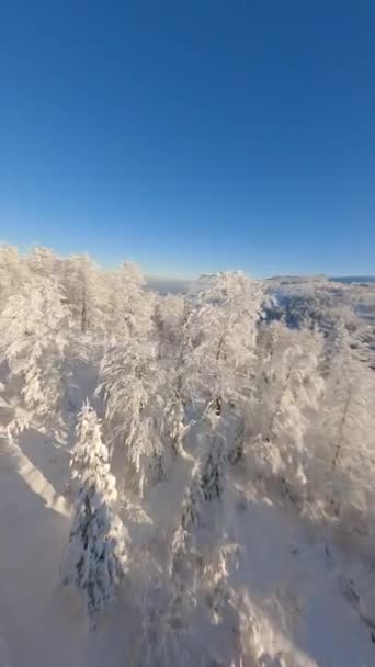 晴れた日の美しい雪山の森の上のシネマティックFpvドローン飛行 — ストック動画