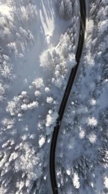 Kışın karlı dağ ormanlarında giden bir arabanın üst görüntüsü..