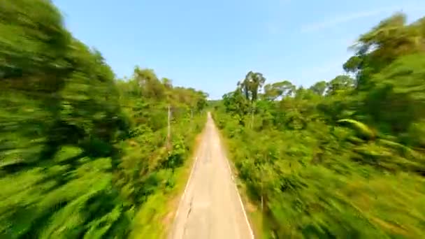 Szybki Lot Dronem Fpv Nad Tropikalną Drogą Przez Las Deszczowy — Wideo stockowe