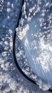 Karlı bir dağ ormanında manzaralı bir yolun manzarası..