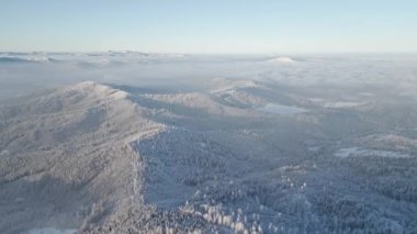 Güzel, soğuk kış dağ ormanı manzarası yükseklerden.