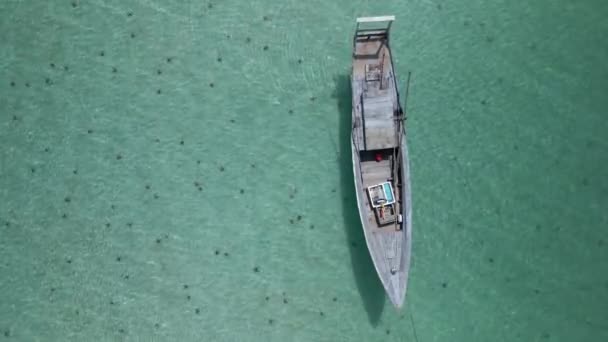 Sjöstjärnor Phu Quoc Island Vietnam Naturlig Bakgrund — Stockvideo