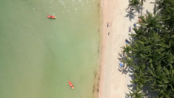 Vue Dessus Plage Tropicale Avec Kayakistes Sur Île Phu Quoc — Video
