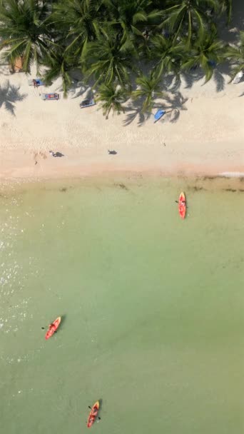 Vue Dessus Plage Tropicale Avec Kayakistes Sur Île Phu Quoc — Video