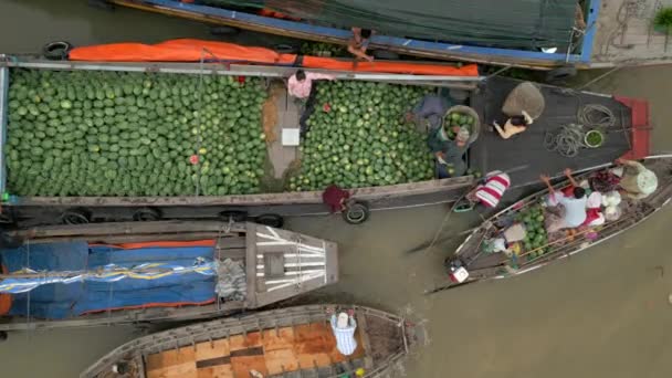ベトナムのメコンデルタのカイレンフローティングマーケットでスイカでいっぱいのボート — ストック動画