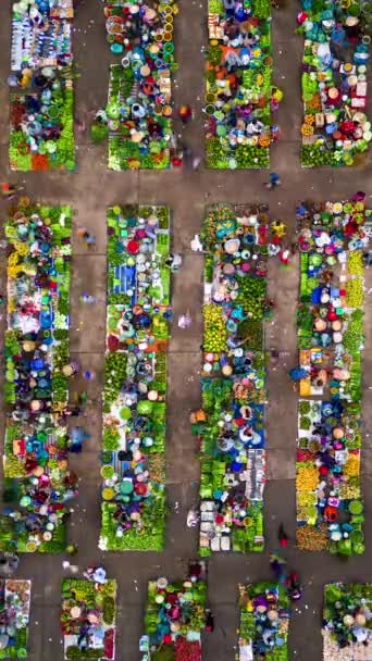 Vietnam Kırsal Kesimindeki Renkli Yerel Çiftçi Pazarının Iyi Zaman Çizelgesi — Stok video