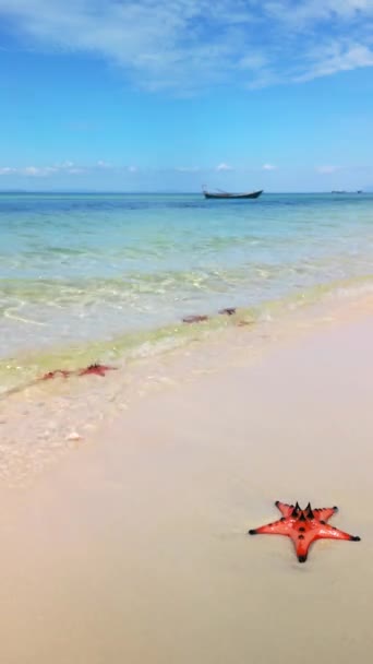 Spiaggia Paradisiaca Con Stelle Marine Sulla Riva Sull Isola Phu — Video Stock