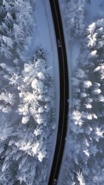 Kış mevsiminde karlı dağ ormanlarında araba manzarası..