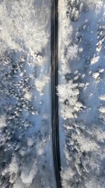 Karlı bir dağ ormanında manzaralı bir yolun manzarası..