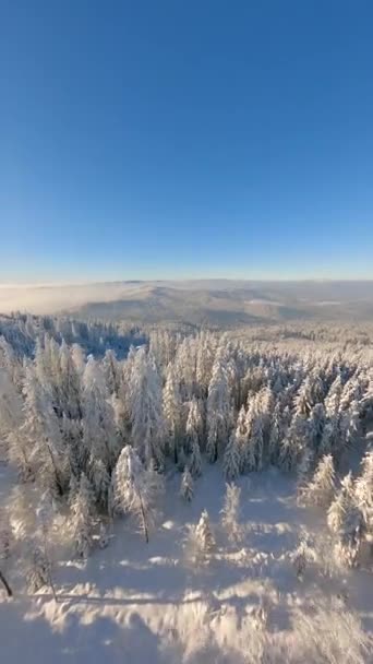 Cinematic Fpv Drone Flight Beautiful Snow Covered Winter Mountain Forest — Stock Video
