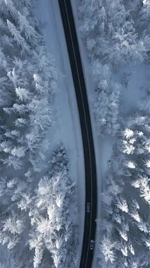 Kış mevsiminde karlı dağ ormanlarında araba manzarası..