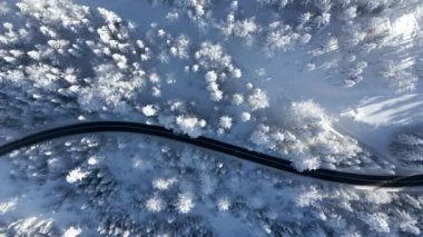 Dikey video. Karlı bir dağ ormanında manzaralı bir yolun manzarası..