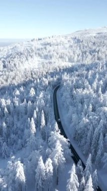 Güneşli bir günde karlı kış dağlarında giden bir arabanın manzarası..