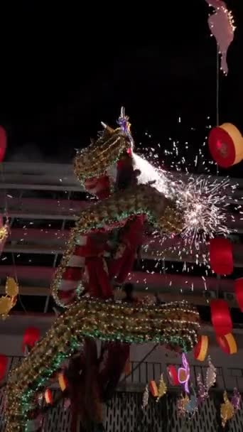 Ένας Πυροσβεστικός Χορός Δράκων Κατά Διάρκεια Των Εορτασμών Της Πρωτοχρονιάς — Αρχείο Βίντεο