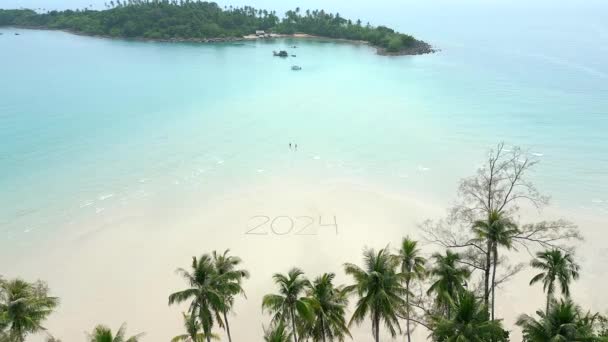 Tropikal Cennet Manzarasındaki Beyaz Kumlu Plajda Hindistan Cevizi Palmiyeleri Kristal — Stok video