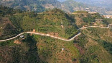 Kuzey Vietnam 'daki Ha Giang Döngüsü' ndeki kahve tarlası tepelerinin hava manzarası..