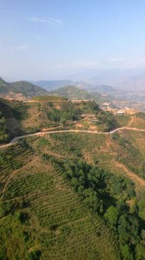 Kuzey Vietnam 'daki Ha Giang Döngüsü' ndeki kahve tarlası tepelerinin hava manzarası..