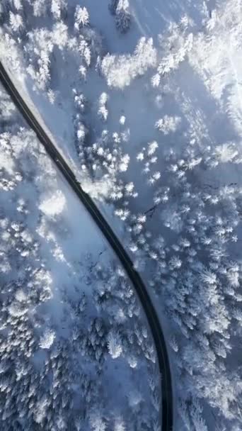 Вид Зверху Машину Проїжджає Через Засніжений Гірський Ліс Взимку — стокове відео