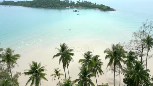在热带天堂风景的白色沙滩上写下的2024年令人惊叹的航拍画面 上面有椰子树和清澈的绿松石水 — 图库视频影像