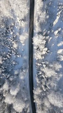 Karlı bir dağ ormanında manzaralı bir yolun manzarası..