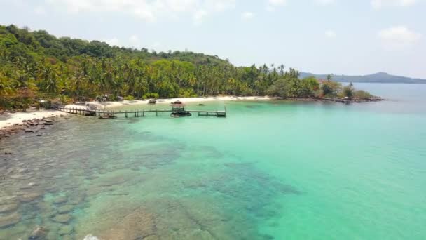Idyllische Tropische Strandkulisse Mit Türkisfarbenem Wasser Weißem Sand Palmen Und — Stockvideo