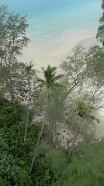 Tropikal Cennet Manzarasındaki Beyaz Kumlu Plajda 2024 Yılının Inanılmaz Hava — Stok video