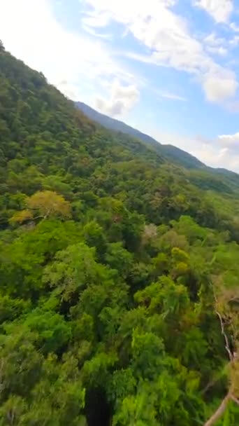 Динамический Полет Fpv Над Тропическими Деревьями Реками Водопадами Пышных Джунглях — стоковое видео