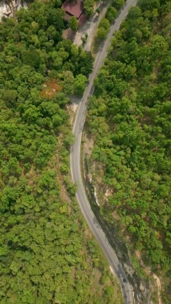 Top View Scenic Road Coffee Trees Chiang Rai Northern Thailand — Stock Video