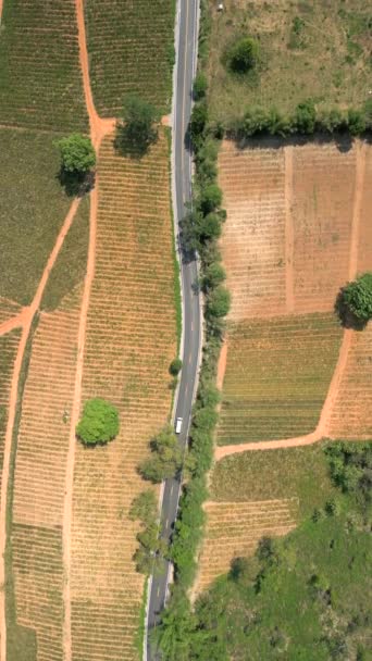 Vista Superior Conducción Coches Carretera Panorámica Través Tierras Cultivo Chiang — Vídeos de Stock