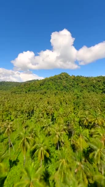 Lot Kinowy Fpv Nad Palmami Tropikalnej Wyspie Słoneczny Dzień Tajlandia — Wideo stockowe