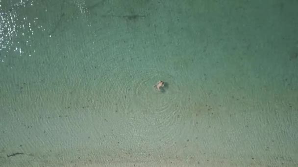 Белая Женщина Плавает Тропическом Море Морской Звездой Концепции Досуга Релаксации — стоковое видео