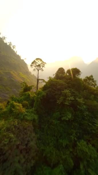 Vue Aérienne Une Vallée Dans Les Montagnes Coucher Soleil Vietnam — Video