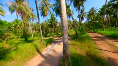 Beyaz kadın Tayland 'da tropik adalarda palmiye ağaçları olan manzaralı bir yolda koşuyor..